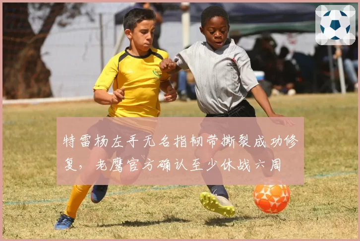 特雷杨左手无名指韧带撕裂成功修复,老鹰官方确认至少休战六周