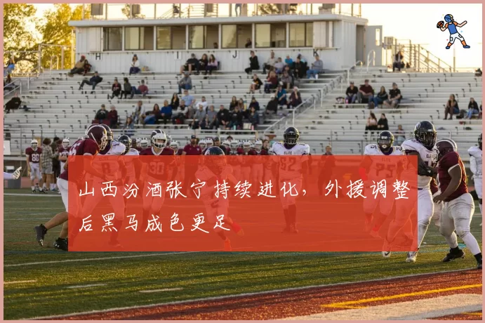 山西汾酒张宁持续进化,外援调整后黑马成色更足